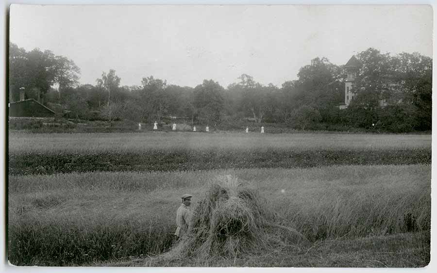 Villa Roma’s field in the early 20th century / Photo: Turku Museum Centre