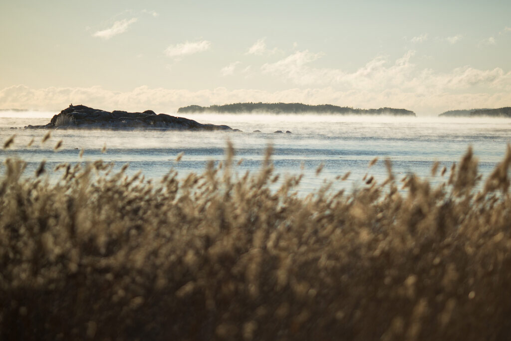 Bird islets abandoned / Photo: A. Kuusela